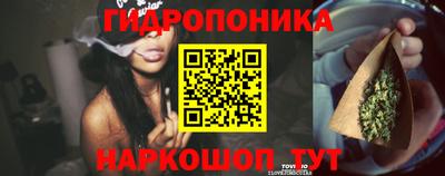 спайс Краснодар